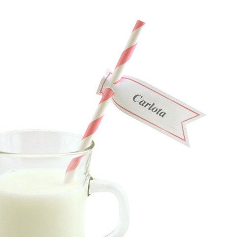 Banderitas pajitas rosa - La Fiesta de Olivia