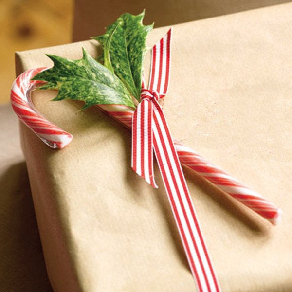 Baston de caramelo - La Fiesta de Olivia