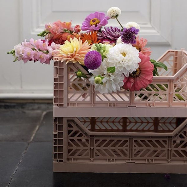 Caja plegable verde claro mediana