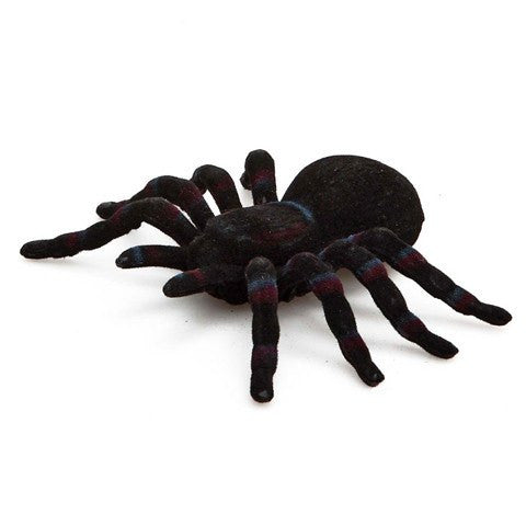 Tarántula Halloween - La Fiesta de Olivia