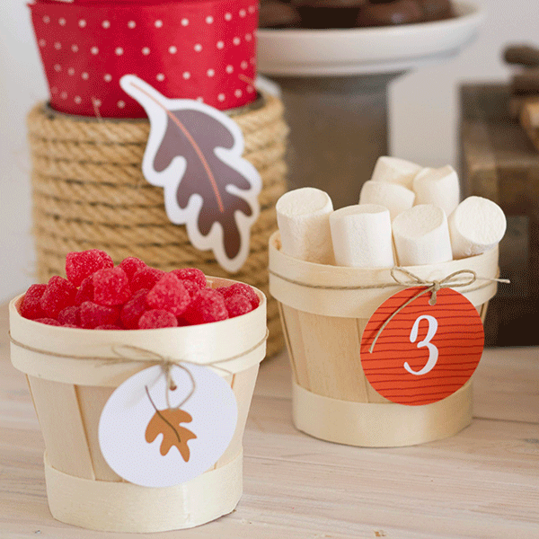 Pack imprimible Oso otoñal