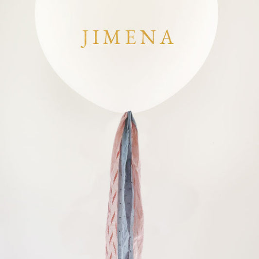 Kit DIY Globo L decorado PLUMETI Rosa y Celeste