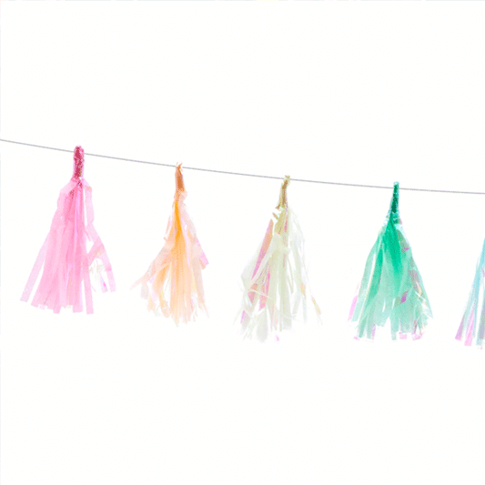 Guirnalda Tassel pastel iridiscente