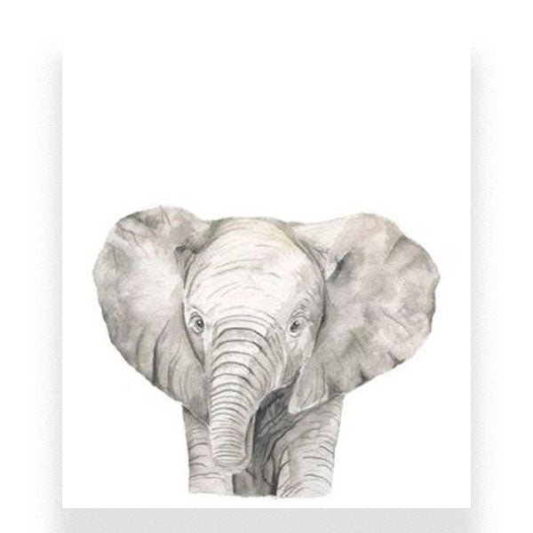 Lámina acuarela elefante