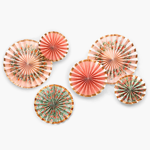 Kit abanicos Wildflower R. Paper & Co