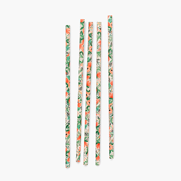 Pajitas Wildflower R. Paper & Co. / 20 uds.