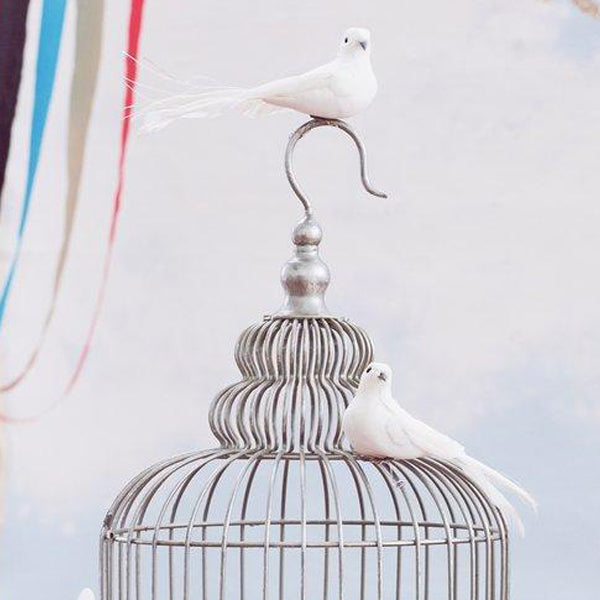 Palomita blanca con pinza